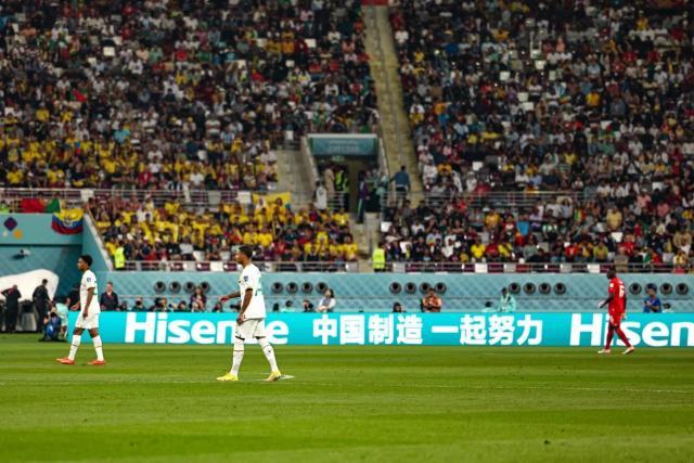 1670641402875059242.jpg 1.jpg